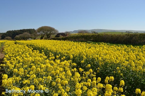 Atmospheric perspective